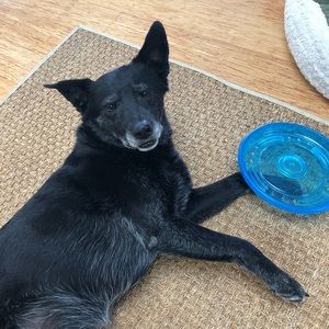 Meet your Posher, Victoria